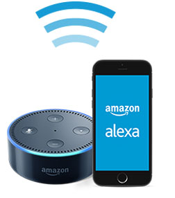 Connect Amazon Echo Dot