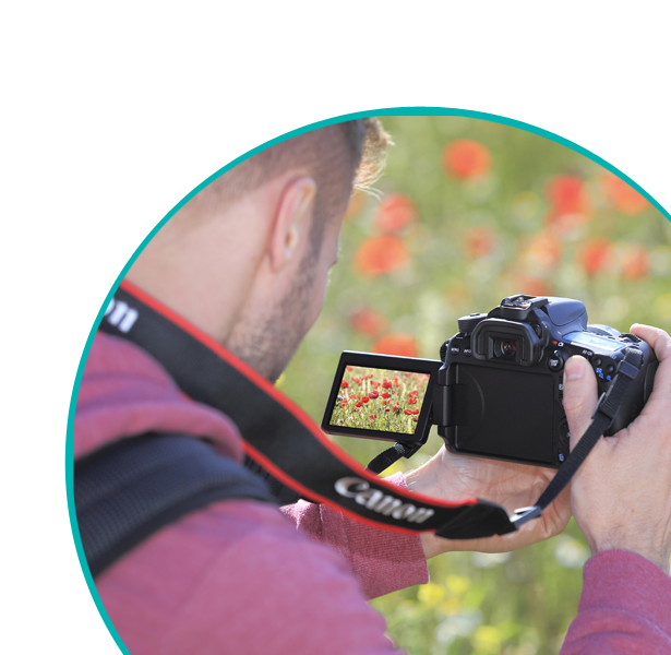 Bridge Video Bridge Video Camera
