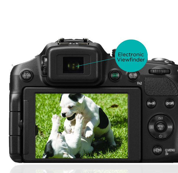 Viewfinder Viewfinder