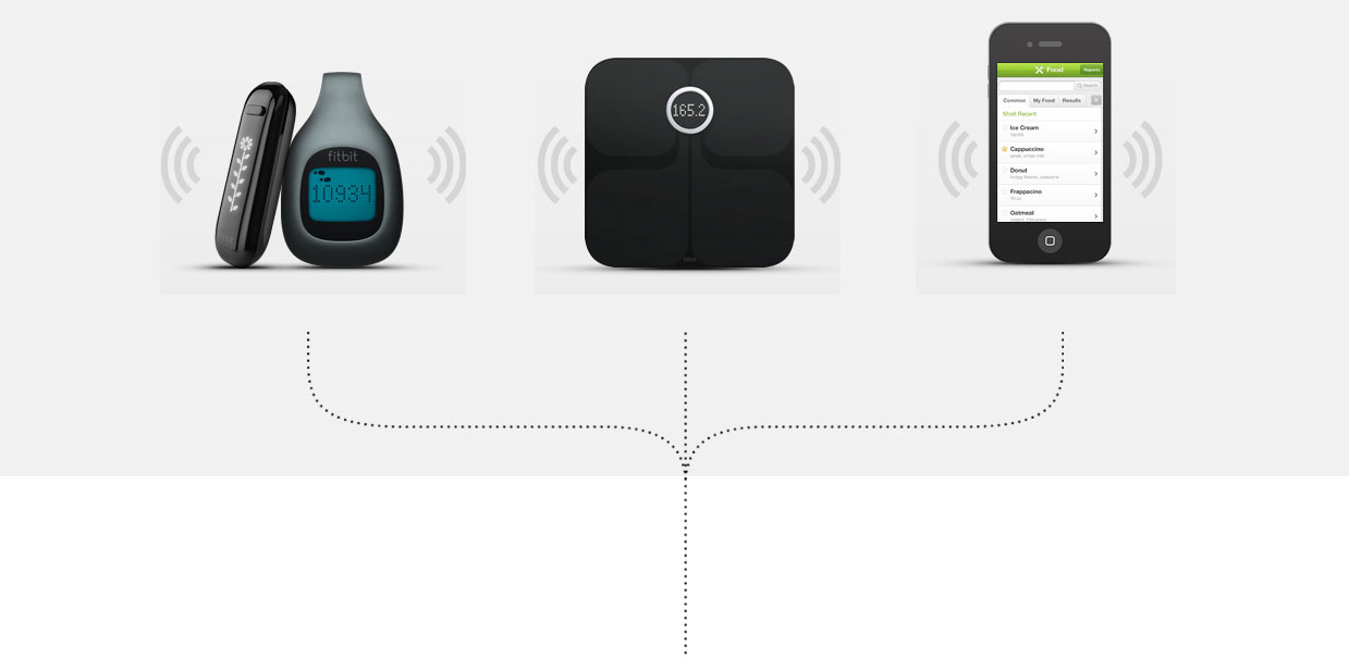 Fitbit family Fitbit family